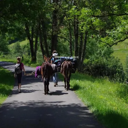 Charming In Ardennes * Signy-l'Abbaye