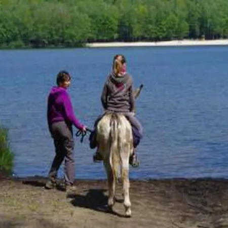 Charming In Ardennes Signy-l'Abbaye