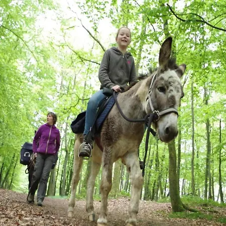 Apartment Charming In Ardennes