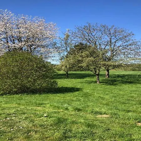 Charming In Ardennes