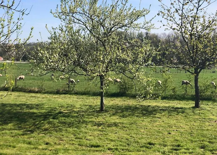 Apartment Charming In Ardennes *