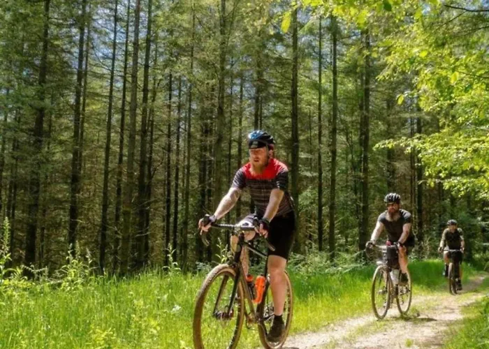 Charming In Ardennes Apartment