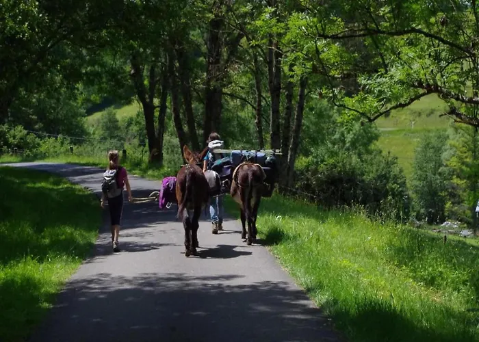 Charming In Ardennes * Signy-l'Abbaye