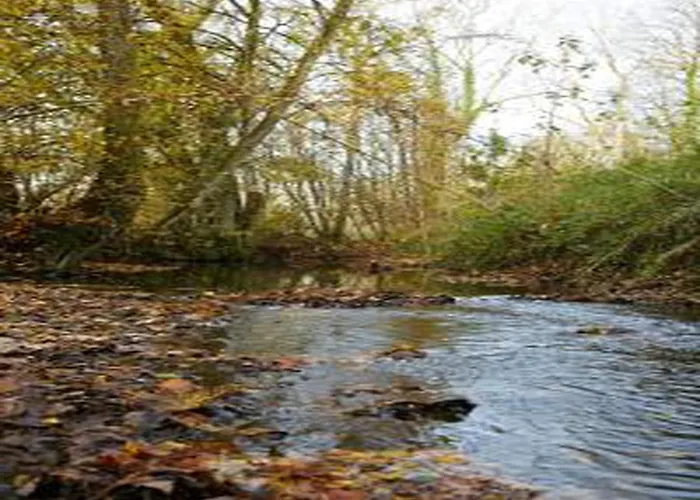 Charming In Ardennes Apartment Signy-l'Abbaye