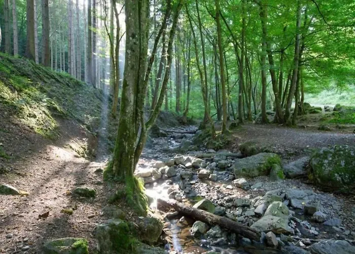 Charming In Ardennes Apartment *