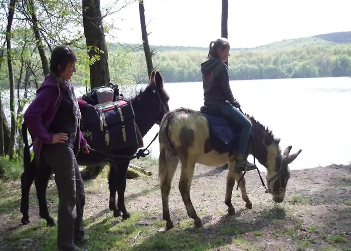 Charming In Ardennes *