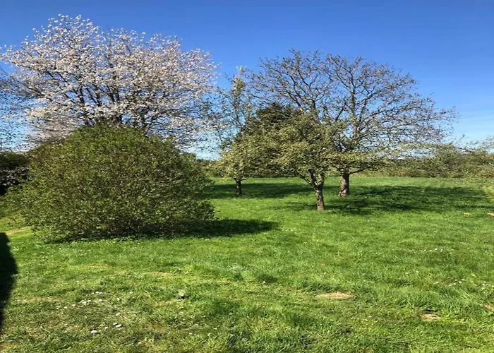 Charming In Ardennes